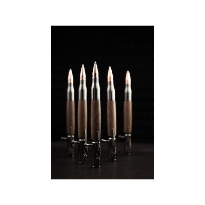 Ручка шариковая Орех-8