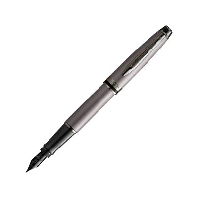 Перьевая ручка Waterman Expert Silver F BLK в подарочной упаковке-0
