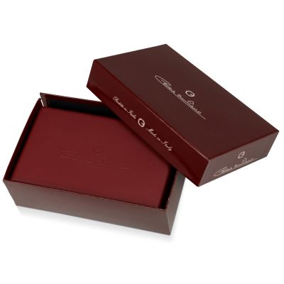 Ручка-роллер Cesare Emiliano серебро, кожа ящерицы в футляре-6