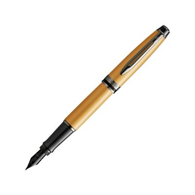 Перьевая ручка Waterman Expert GoldF BLK в подарочной упаковке-0