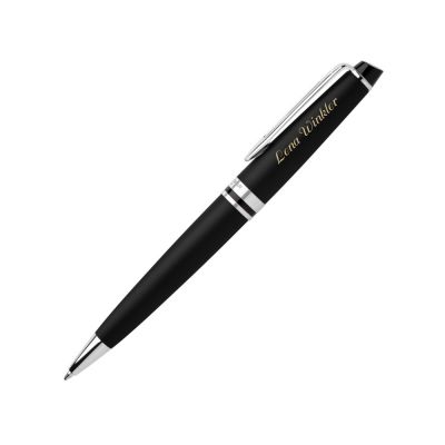 Шариковая ручка Waterman Expert 3, цвет: MattBlack CT-12