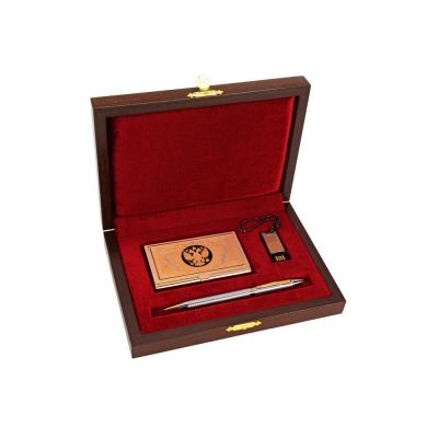 Набор Государственная политика: визитница, ручка шариковая, флешка 16 Гб, золотистый/серебристый-0