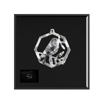 Елочные игрушки (Снегирь) Обсидиан-1