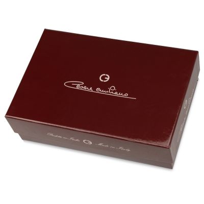 Ручка перьевая Cesare Emiliano, панцирь черепахи в футляре-7